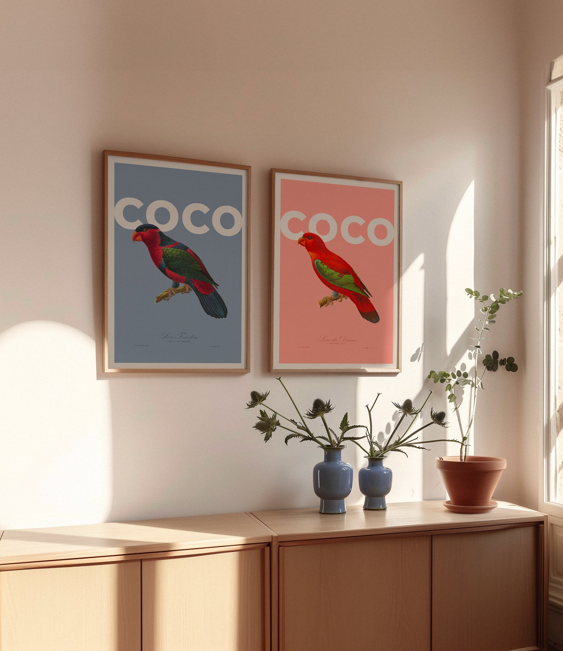 COCO BLEU