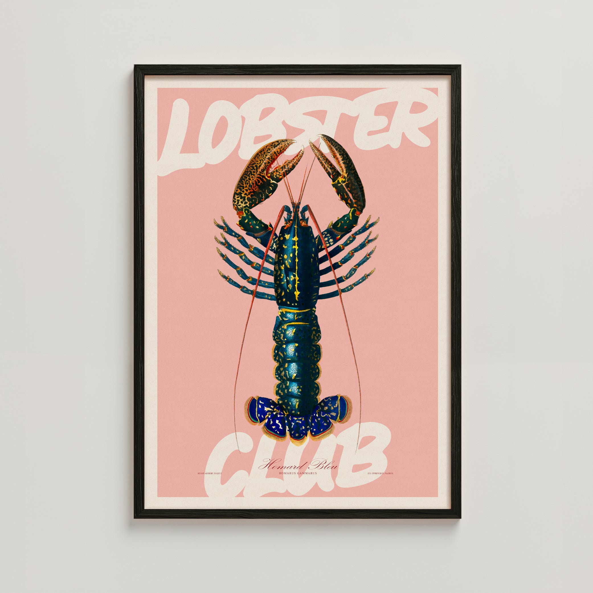 LOBSTER CLUB