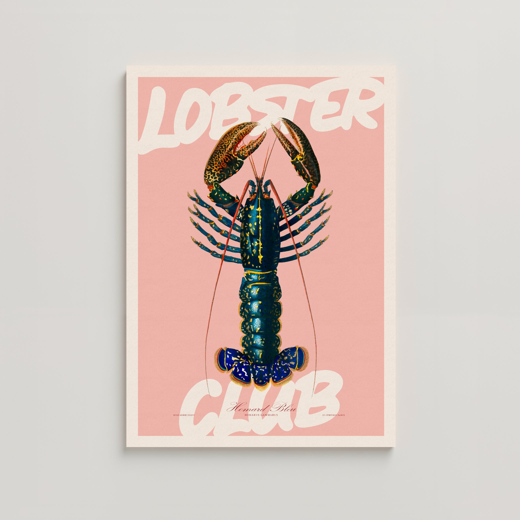 LOBSTER CLUB