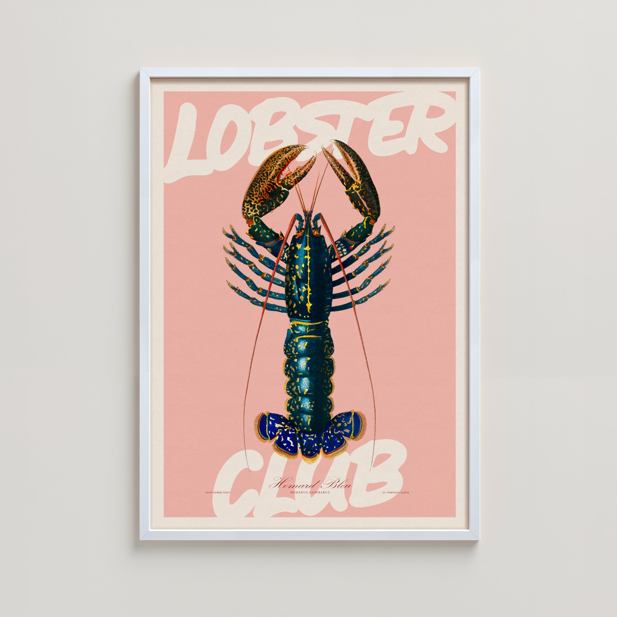 LOBSTER CLUB