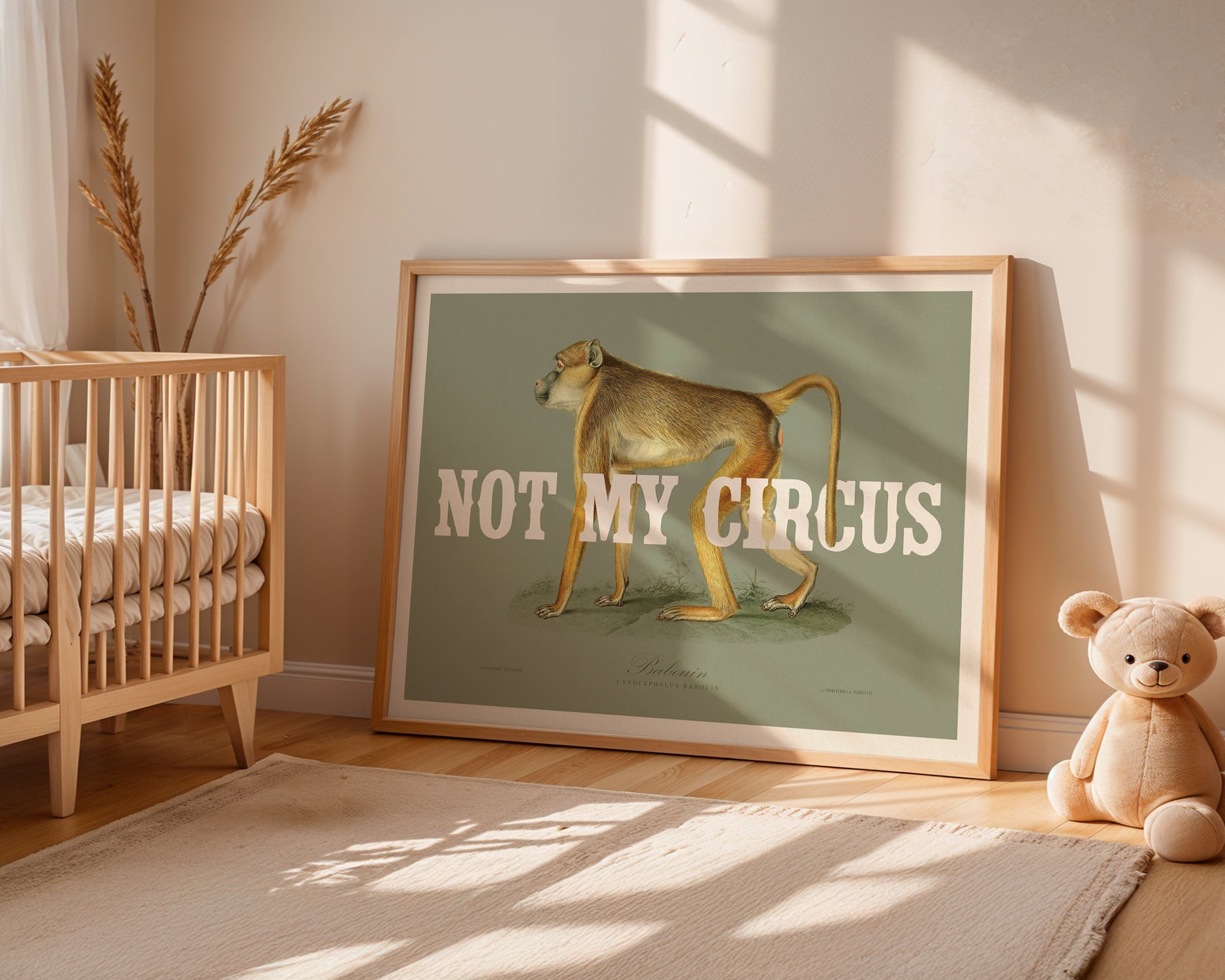 NOT MY CIRCUS