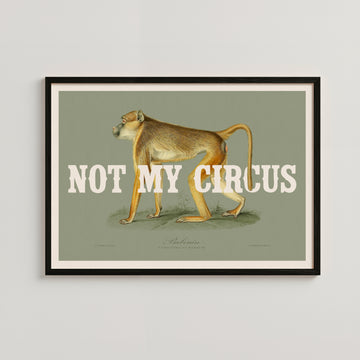 NOT MY CIRCUS
