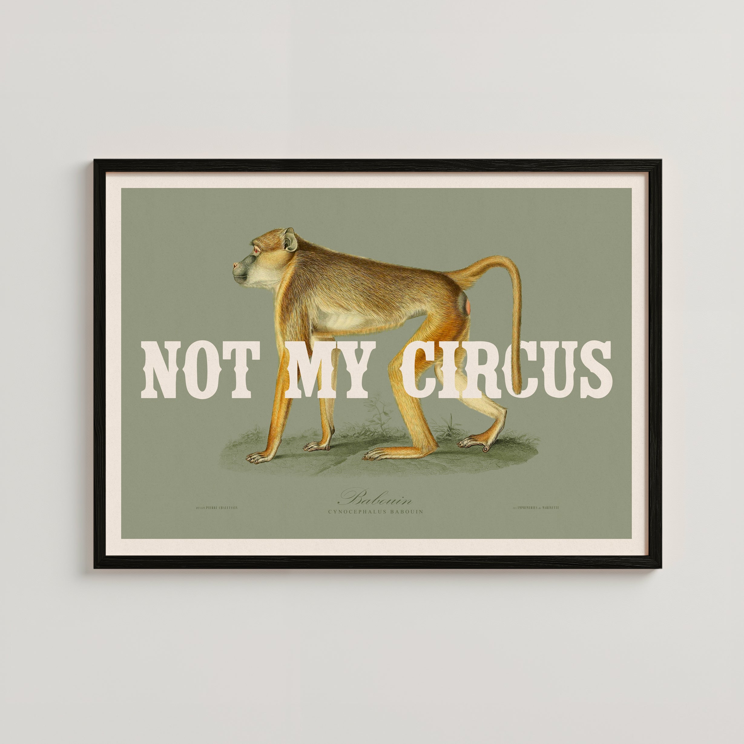 NOT MY CIRCUS