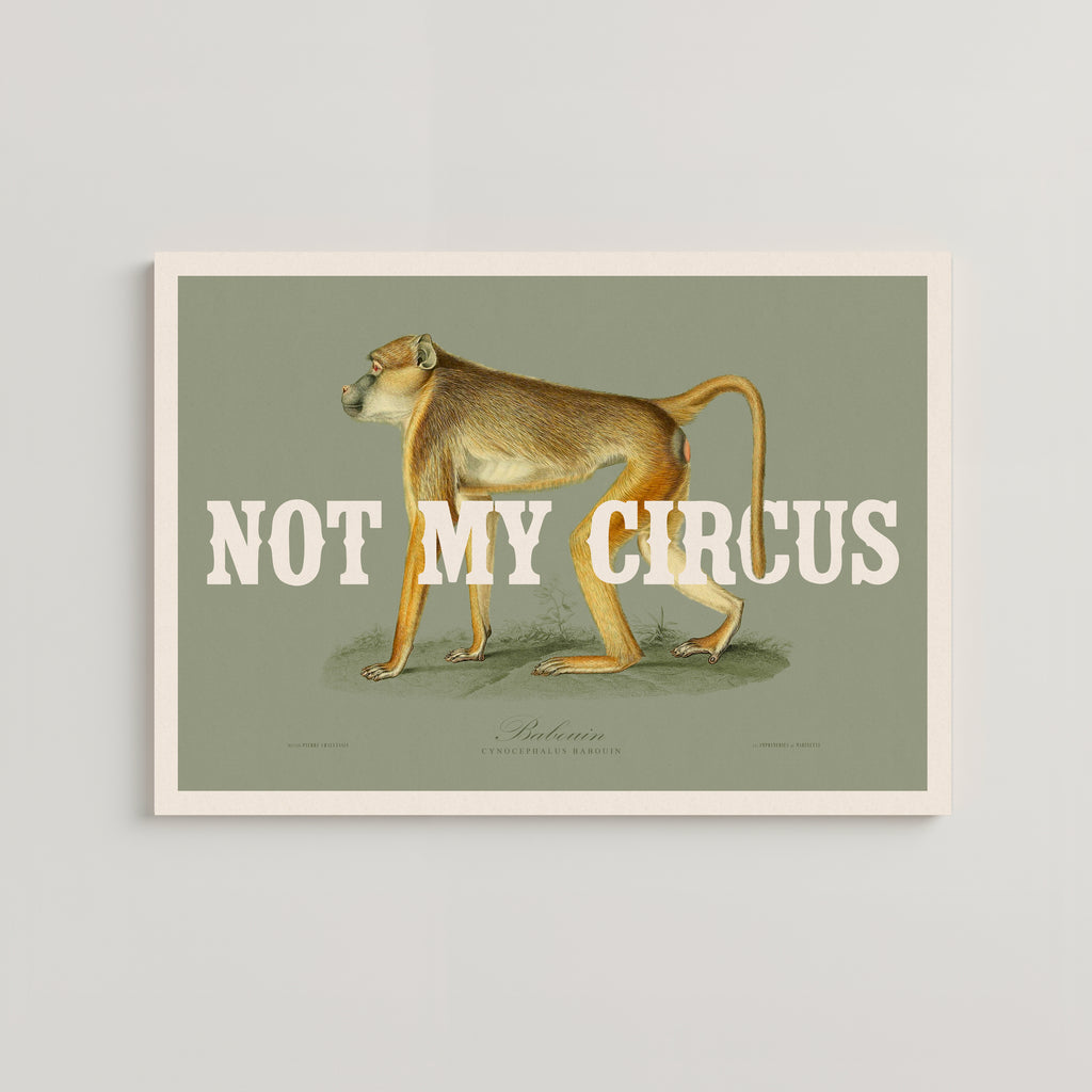 NOT MY CIRCUS