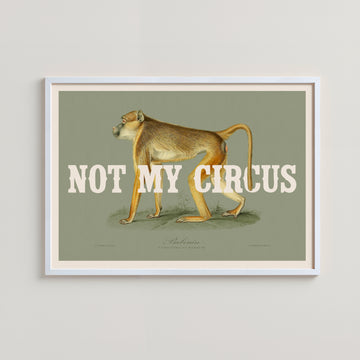 NOT MY CIRCUS