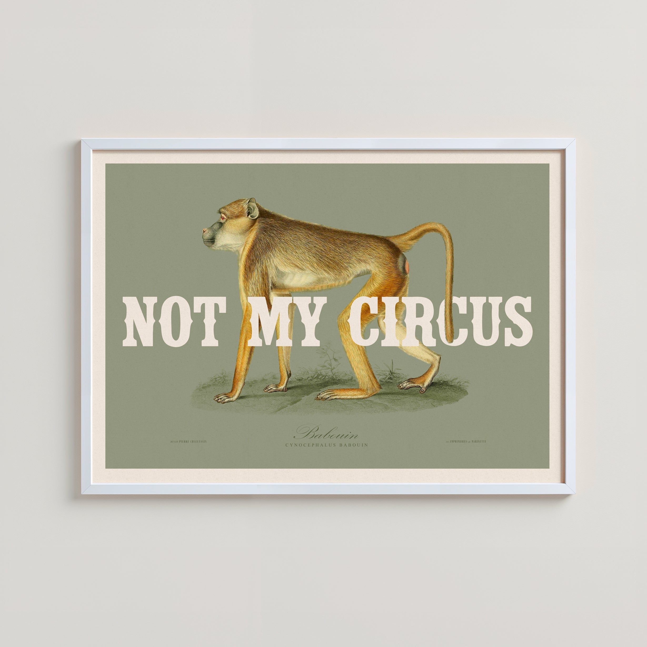 NOT MY CIRCUS