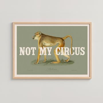 NOT MY CIRCUS